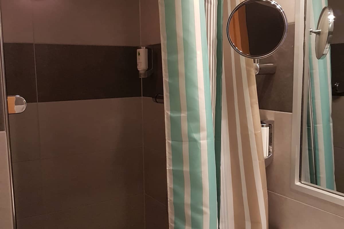 basic single room | bathroom | shower, free toiletries, hair dryer, towels
