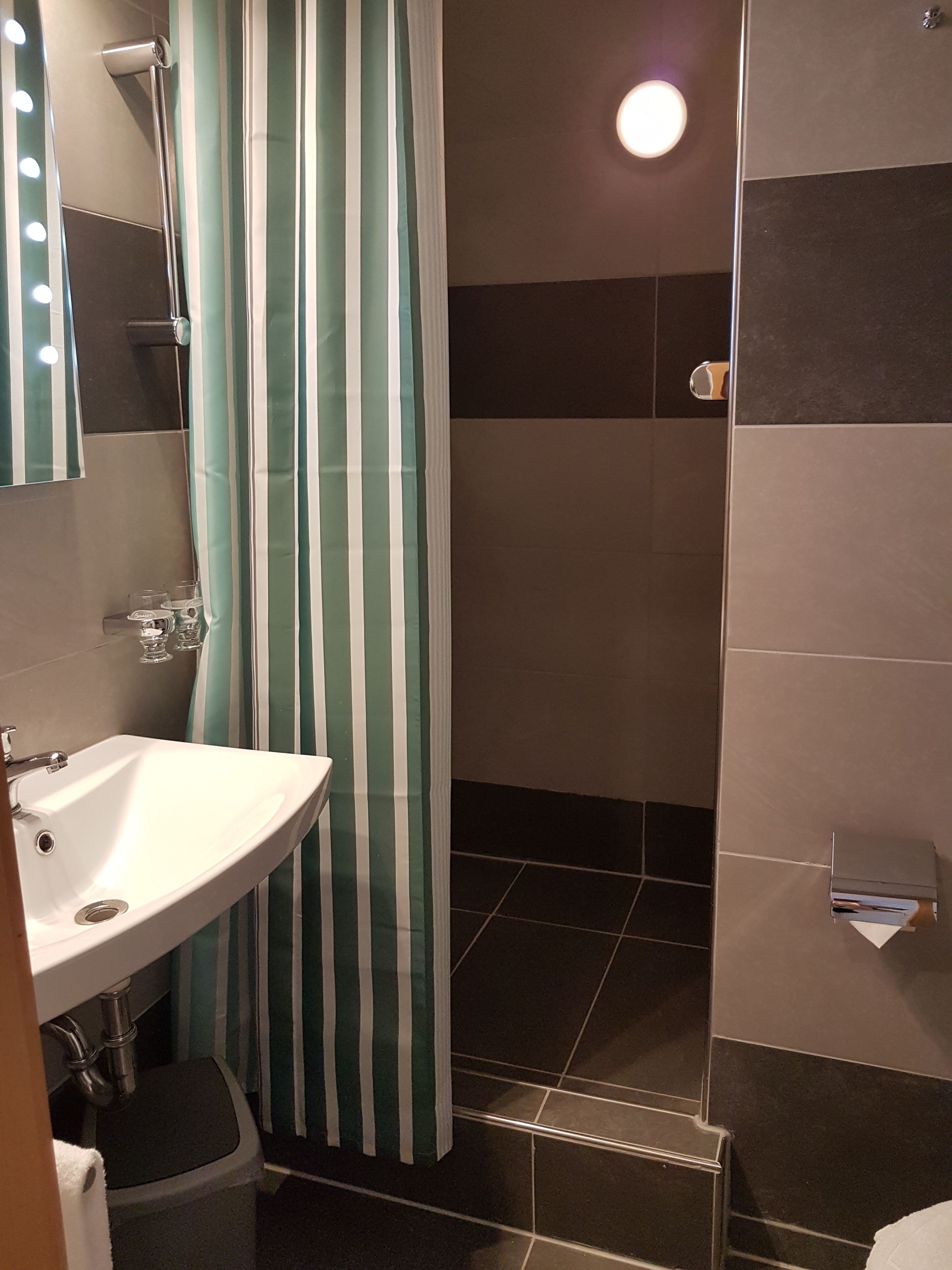 basic single room | bathroom | shower, free toiletries, hair dryer, towels