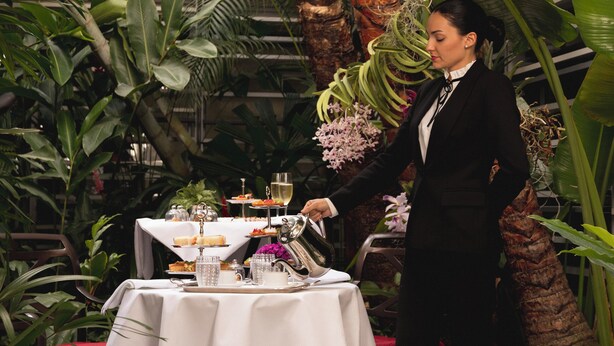 Mesa posta com comida e bebidas, rodeada por plantas tropicais exuberantes.
