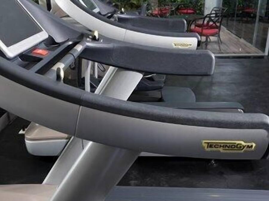 A row of treadmills in a gym with a glass wall and greenery outside.