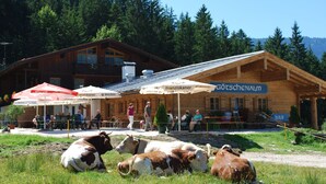 A wooden building with a sign reading "Franziskaner" and "Götzschenalm".