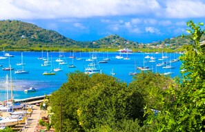 View from property - Hotel Laurena (Hillsborough)