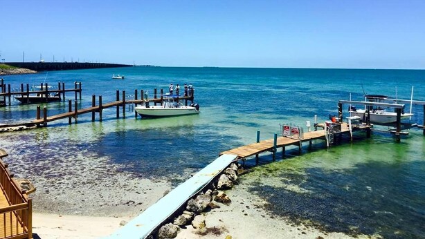 A pier extending into clear blue water with boats docked.