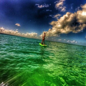 Vista desde la propiedad