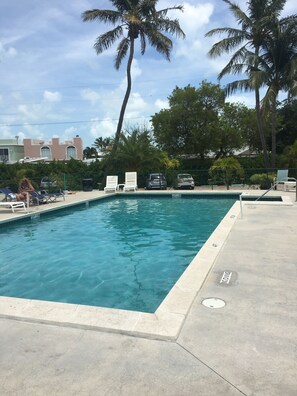 A rectangular swimming pool with clear blue water, surrounded by a concrete deck. There are lounge chairs and a palm tree in the background.