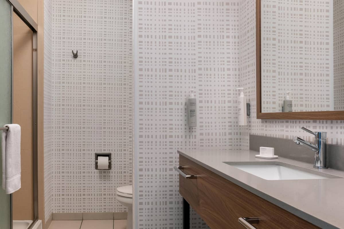 Combined shower/bathtub, free toiletries, hair dryer, towels