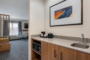 Studio Suite, 1 King Bed | Minibar