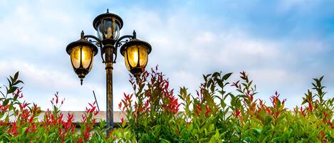 A street lamp with three lights, surrounded by green foliage and red leaves.