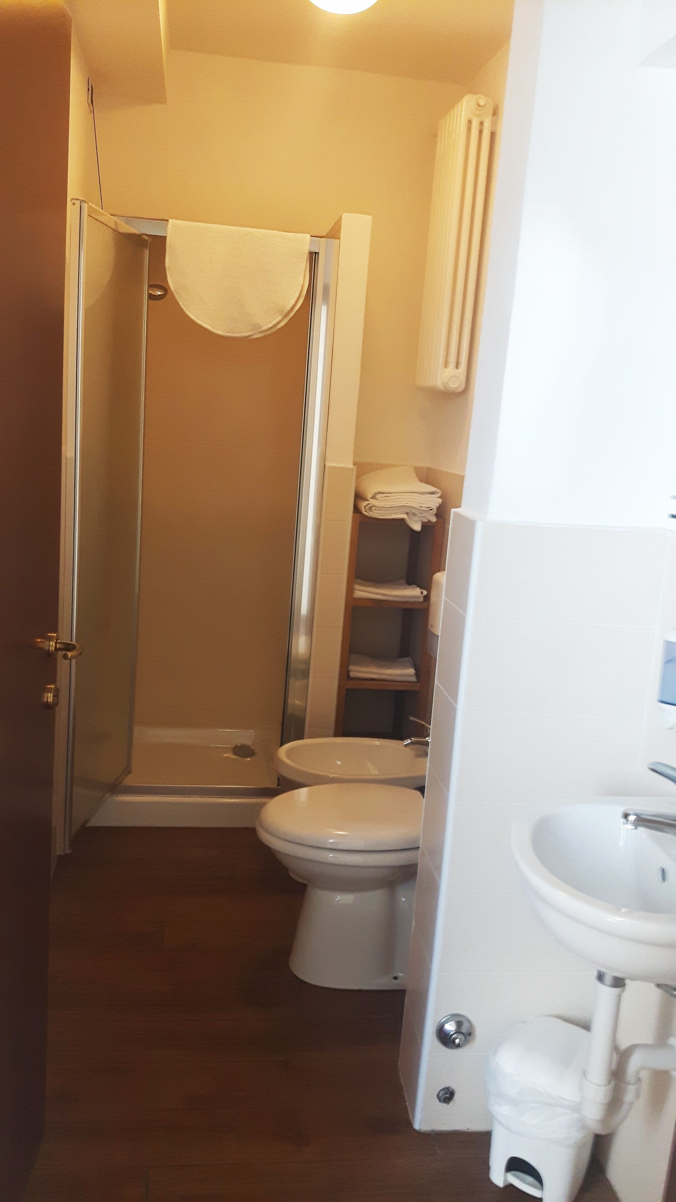 shower, free toiletries, hair dryer, bidet