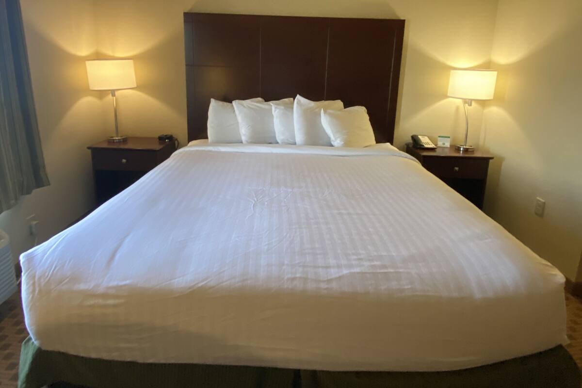 Een hotelkamer met een groot bed, twee nachtkastjes met lampen, een donker hoofdeinde en een vloerbedekking.