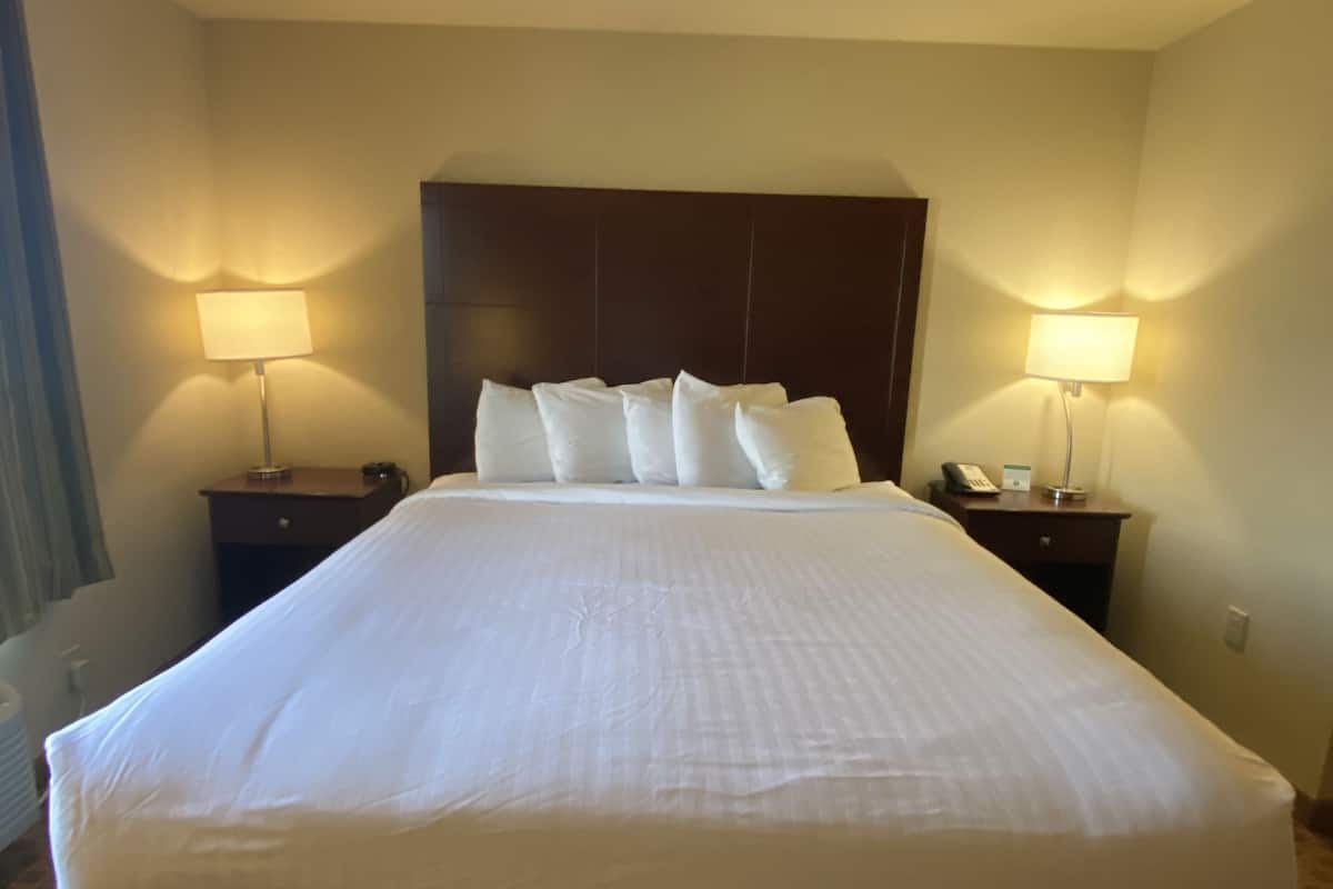 room, 1 king bed, non smoking | premium bedding, in-room safe, individually furnished, desk