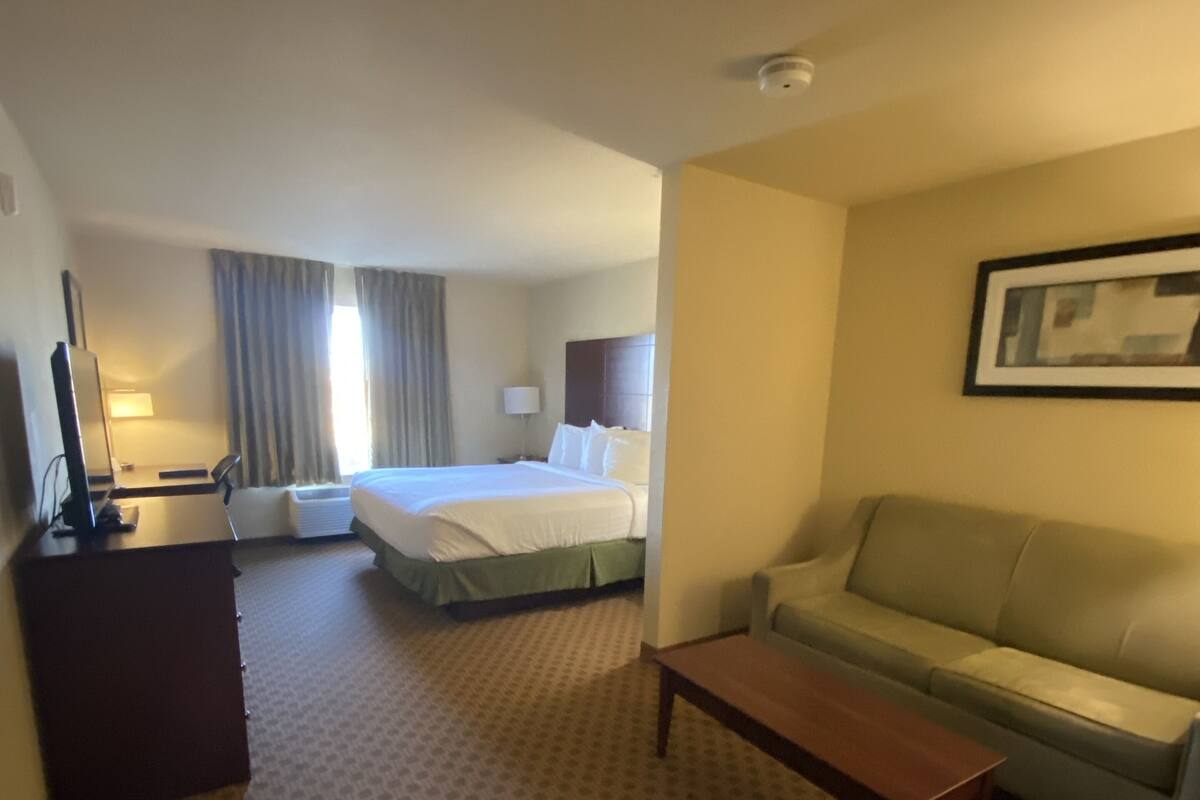 Een hotelkamer met een bed, een bank, een bureau en een televisie.