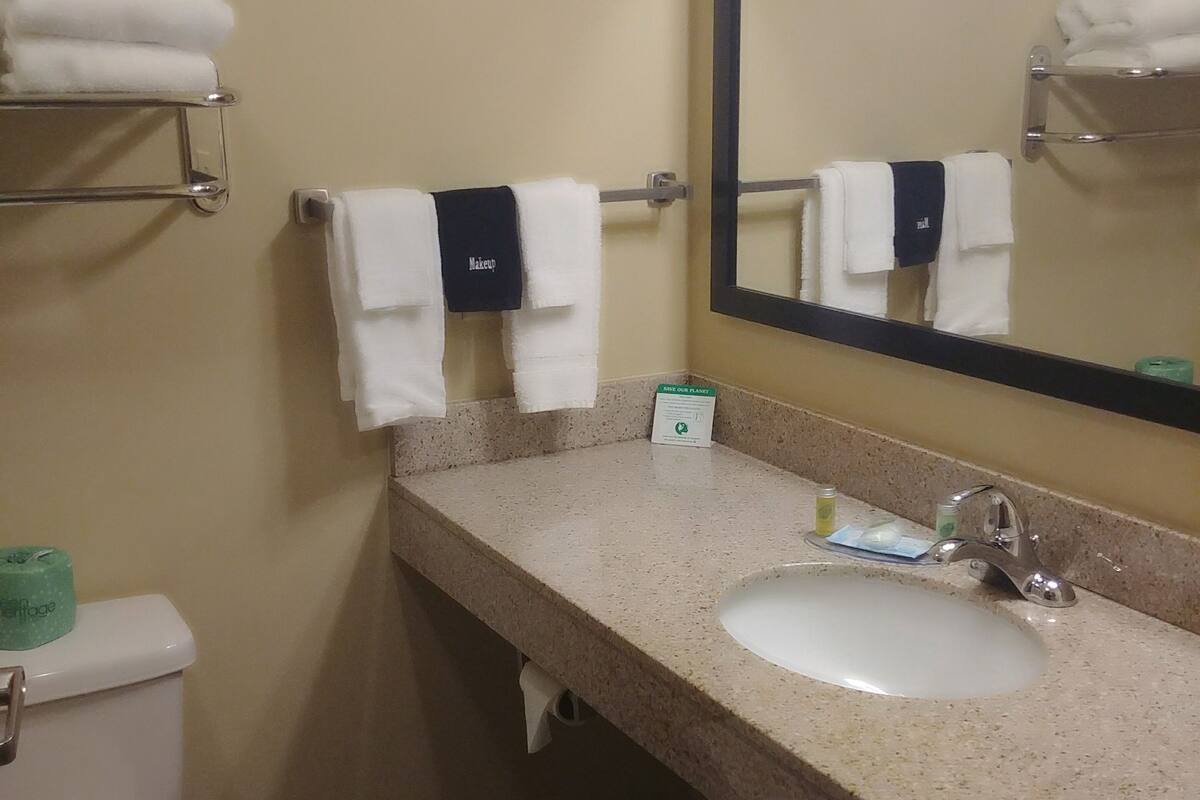 suite, 1 king bed, non smoking | bathroom | combined shower/bathtub, hydromassage showerhead, free toiletries