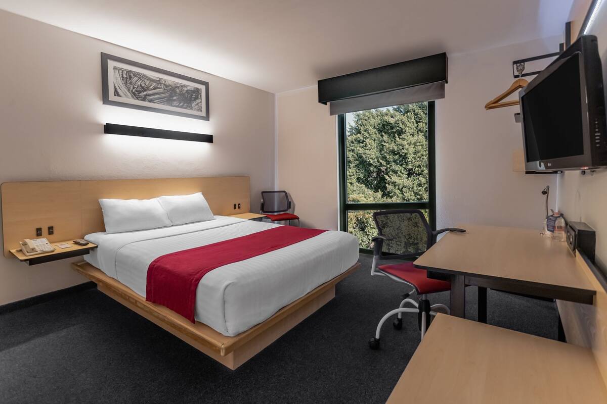A hotel room with a bed, bedside table, desk, chair, TV, and a window with a view of trees.