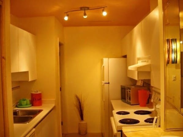 City Condo, 4 Bedrooms, Kitchen | Private kitchen