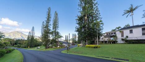 Una calle residencial con casas, cielo despejado y una montaña al fondo.
