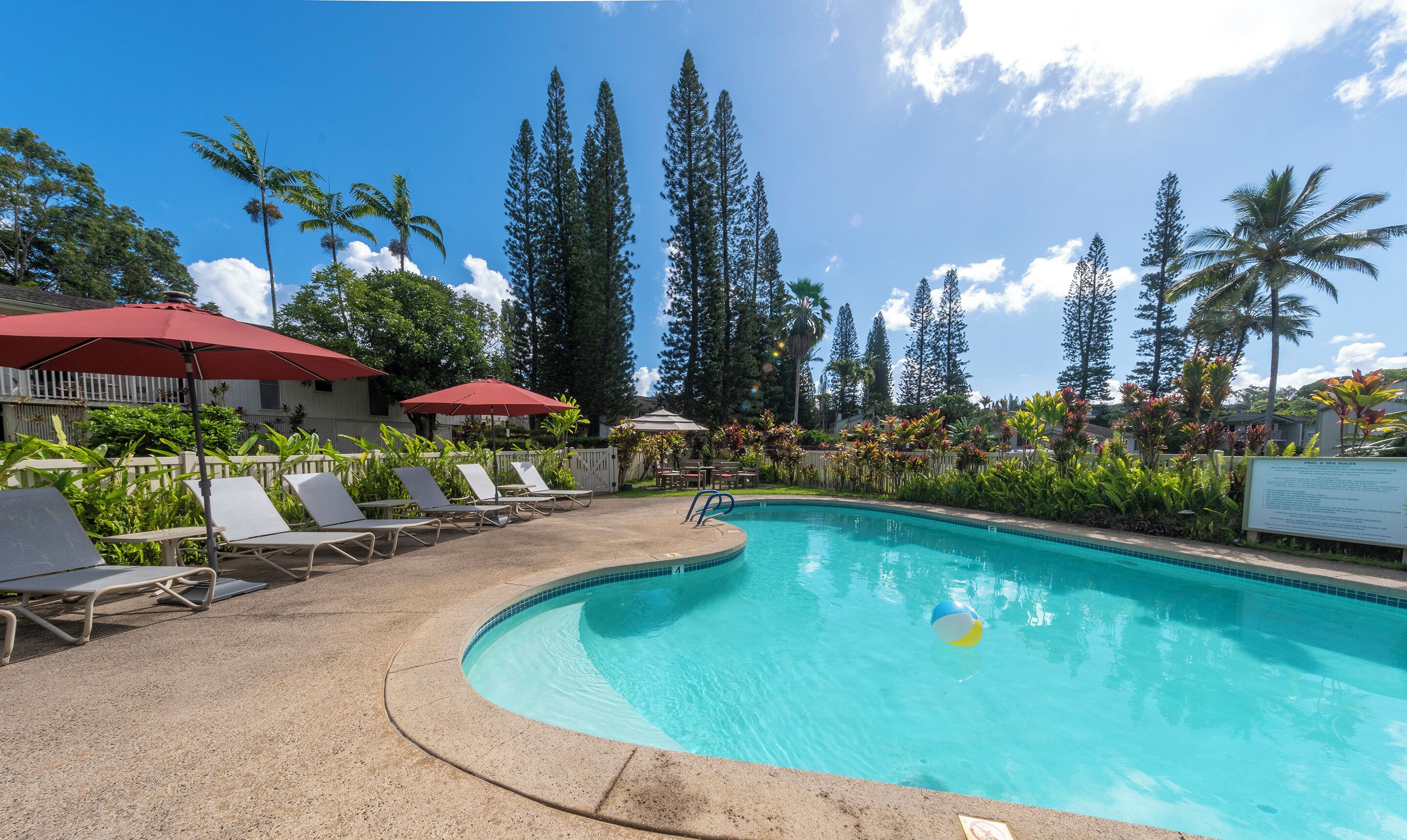 Uma área de piscina com espreguiçadeiras e guarda-sóis, cercada por vegetação tropical e árvores altas.