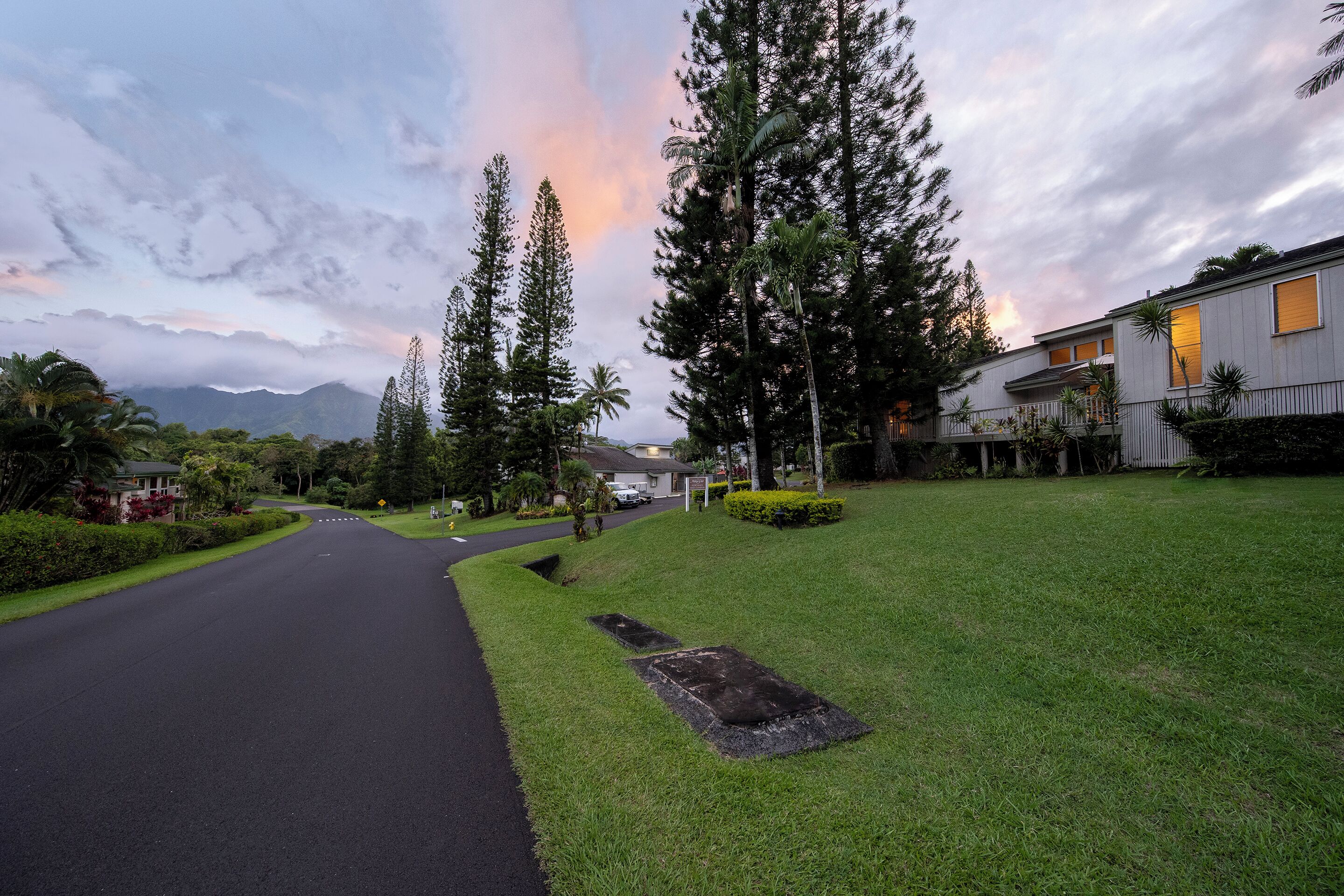 A residential street with houses, a clear sky, and a sunset.