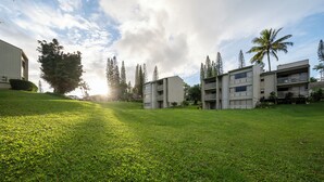 Eksteriør
