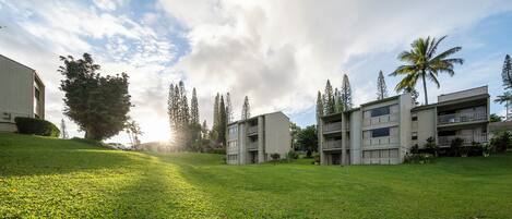 A grassy area with modern buildings, including a two-story structure with balconies and a smaller building with a flat roof.