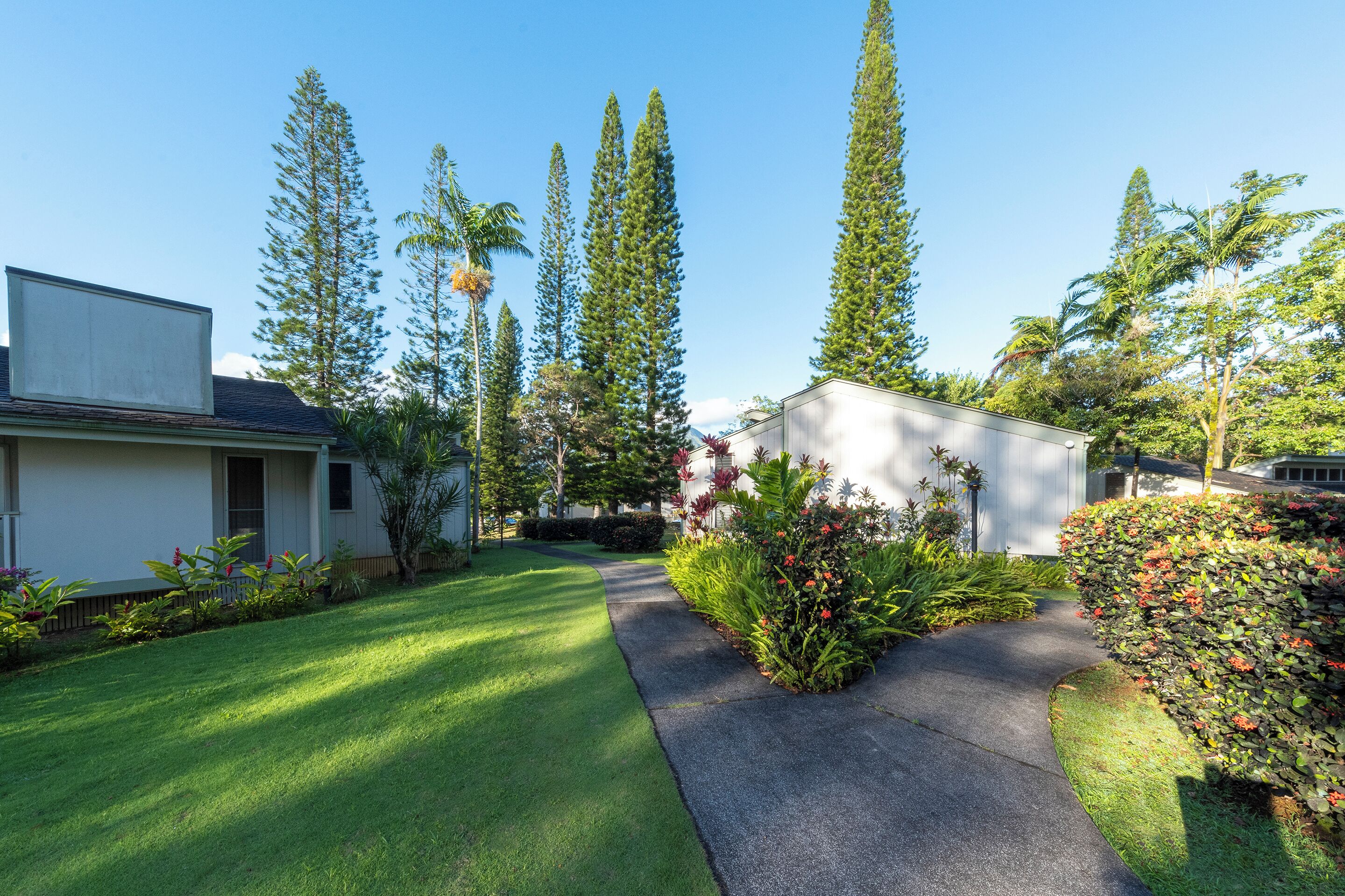 A residential property with a well-maintained lawn, a curved driveway, and tall trees.