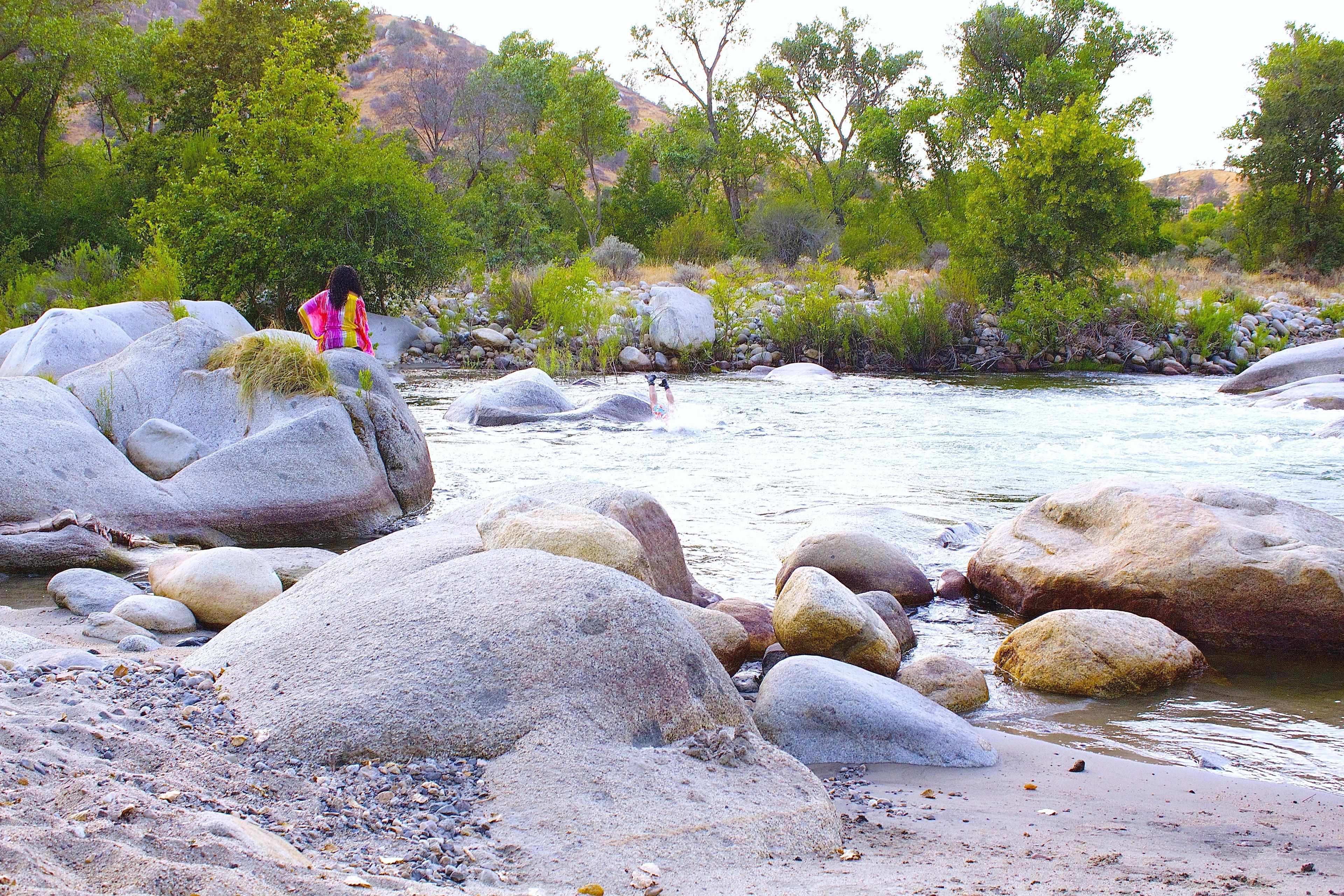Un río con rocas grandes y follaje verde al fondo.