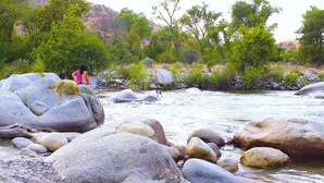 A river with large rocks and greenery in the background.