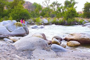 A river with large rocks and greenery in the background.