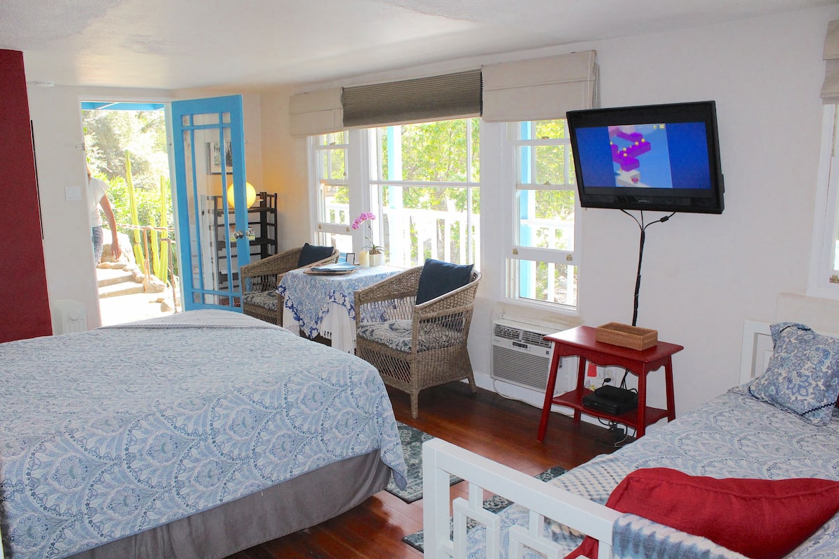 A bedroom with two beds, a television, and a window with a view of greenery.