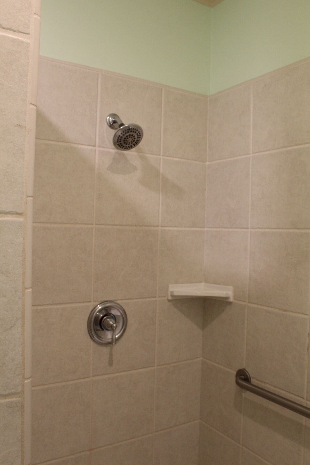 A shower with a handheld showerhead and a wall-mounted faucet.