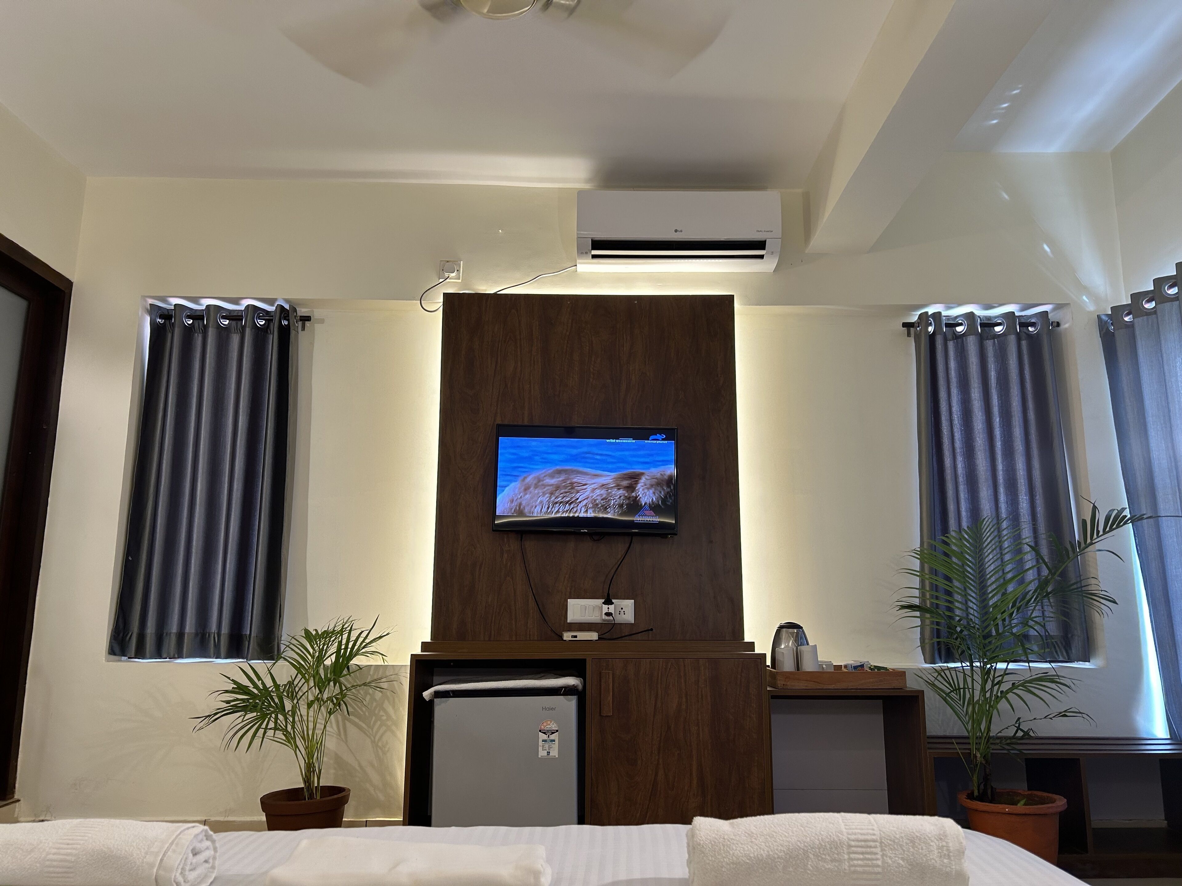 A hotel room with a flat-screen TV mounted on a wooden panel, a mini-fridge, a small table with a kettle, and two potted plants.