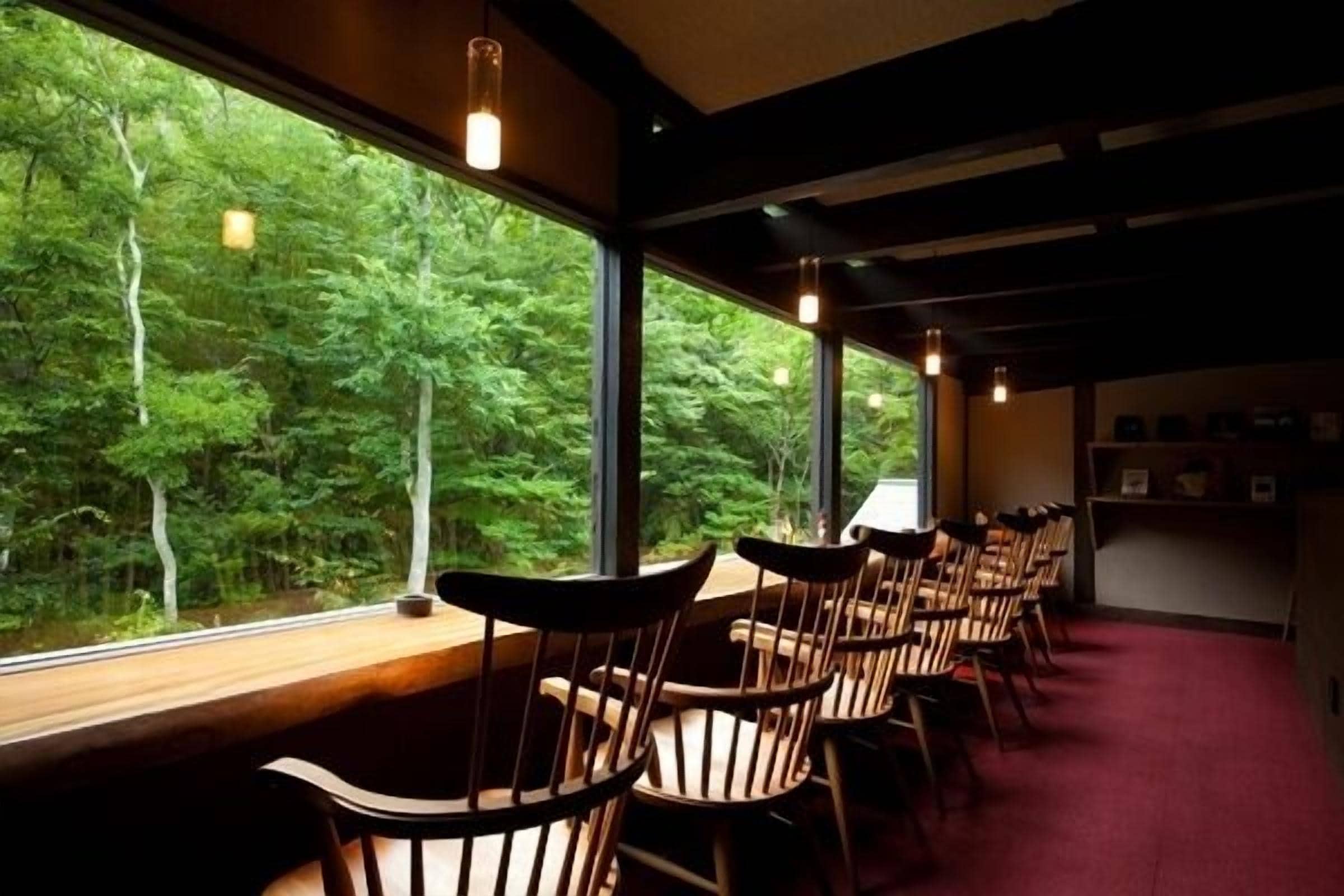 Filas de sillas de madera orientadas hacia una ventana con vistas a árboles verdes y frondosos.