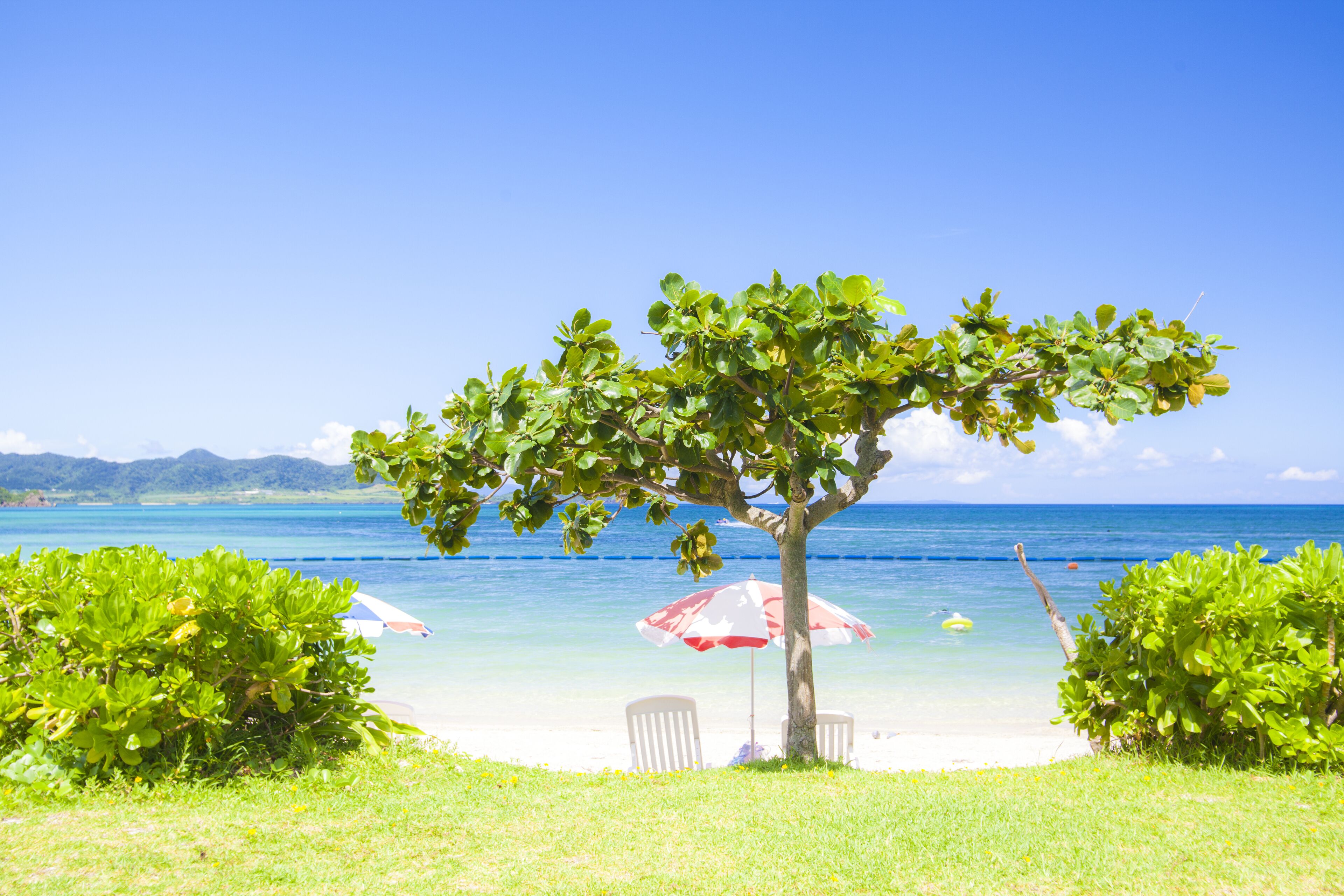 Eine Strandansicht mit einem Baum, einem weißen Stuhl und einem roten und weißen Sonnenschirm.