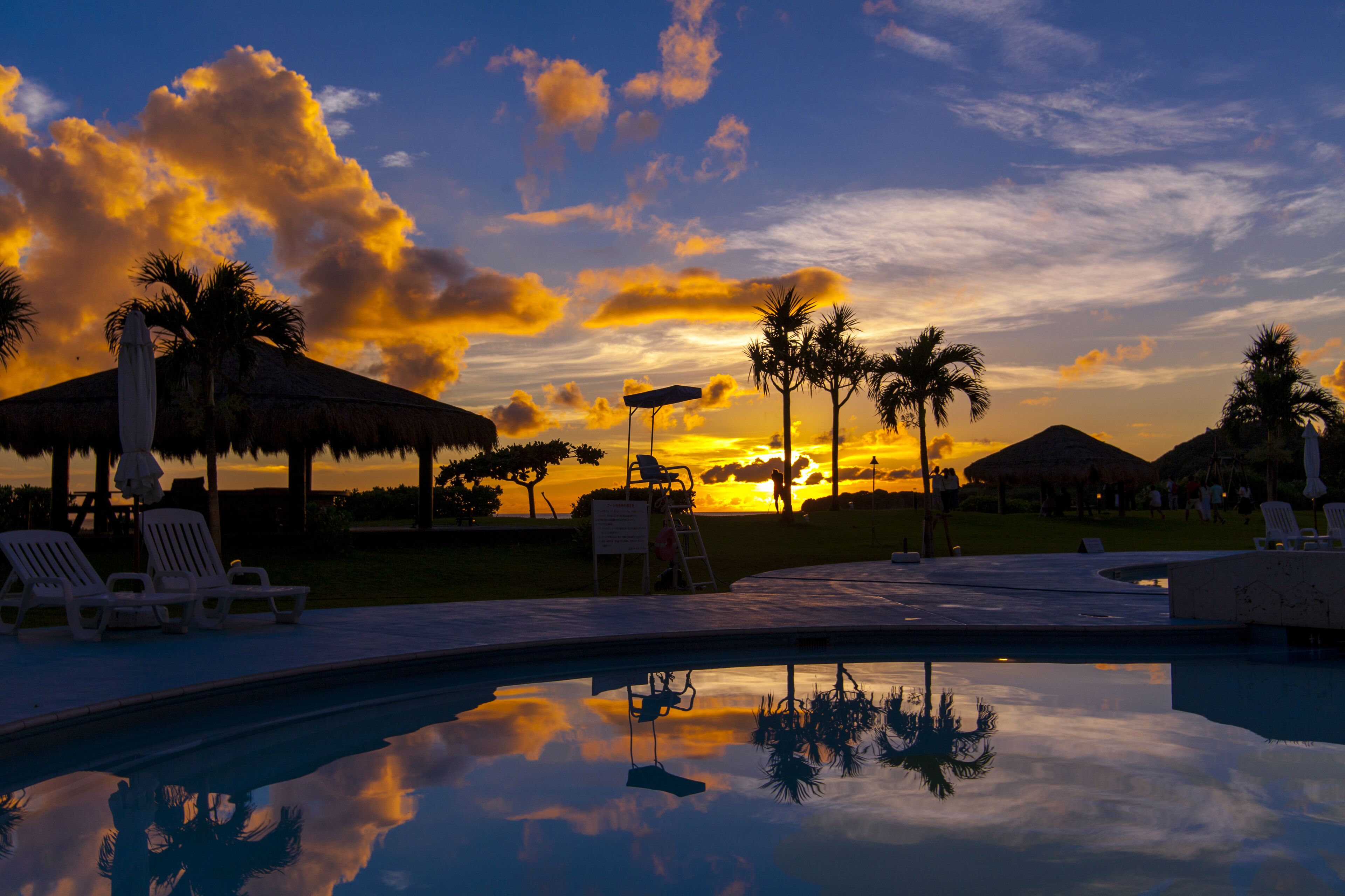 A pool area with lounge chairs and umbrellas, palm trees, and a sunset in the background.