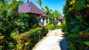 A pathway leading to a building with a tiled roof, surrounded by lush greenery and palm trees.