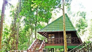 A wooden cabin with a green roof, surrounded by lush greenery and a wooden walkway. - Tabin Wildlife Resort (Lahad Datu)