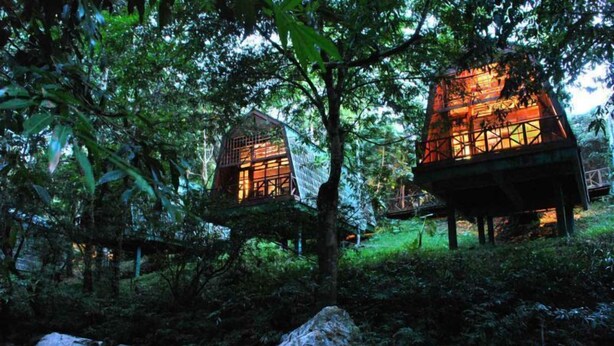 Two treehouse-style cabins nestled in a forested area with a pond in the foreground. - Tabin Wildlife Resort (Lahad Datu)
