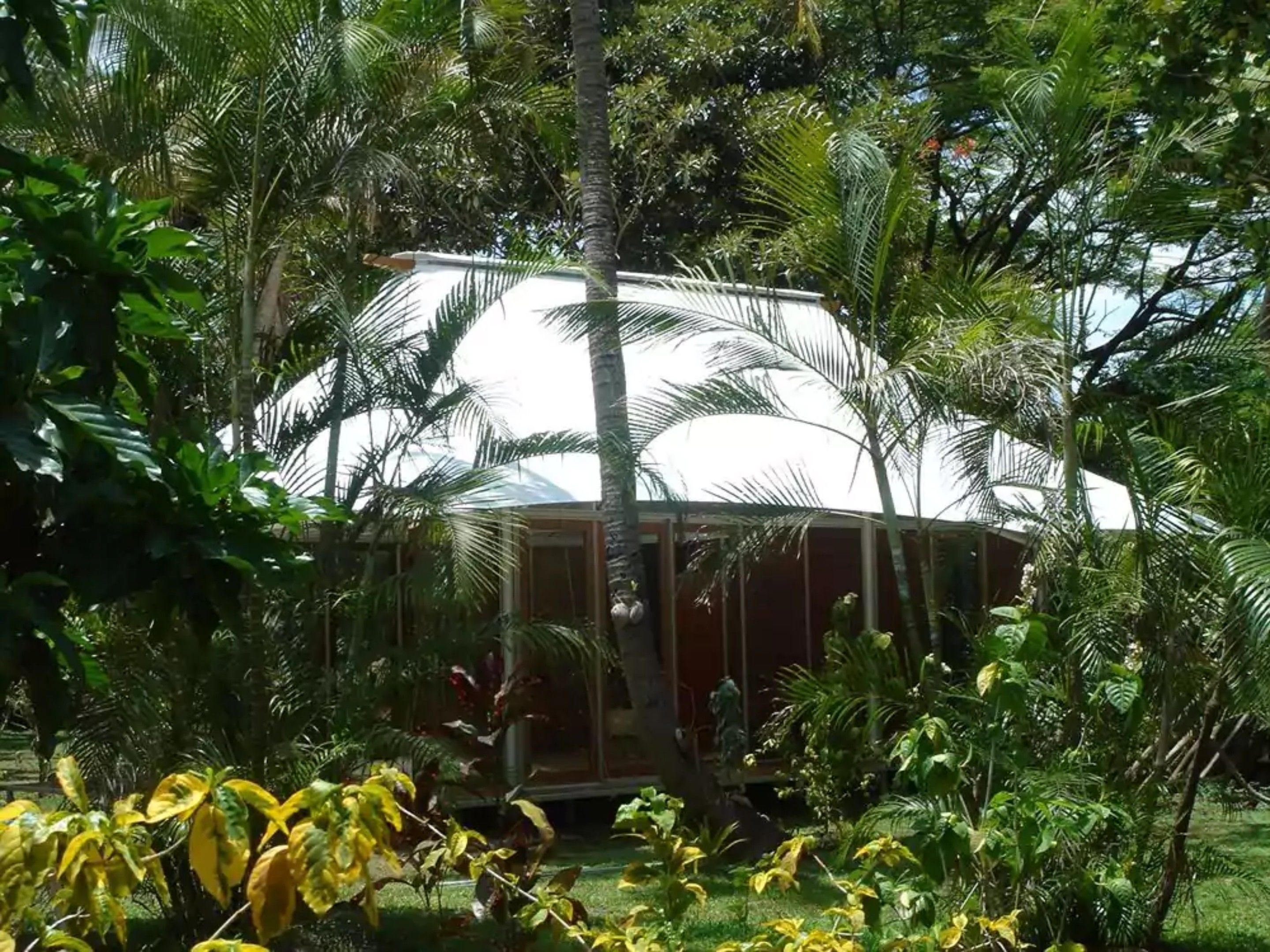A small, enclosed structure surrounded by dense tropical foliage.