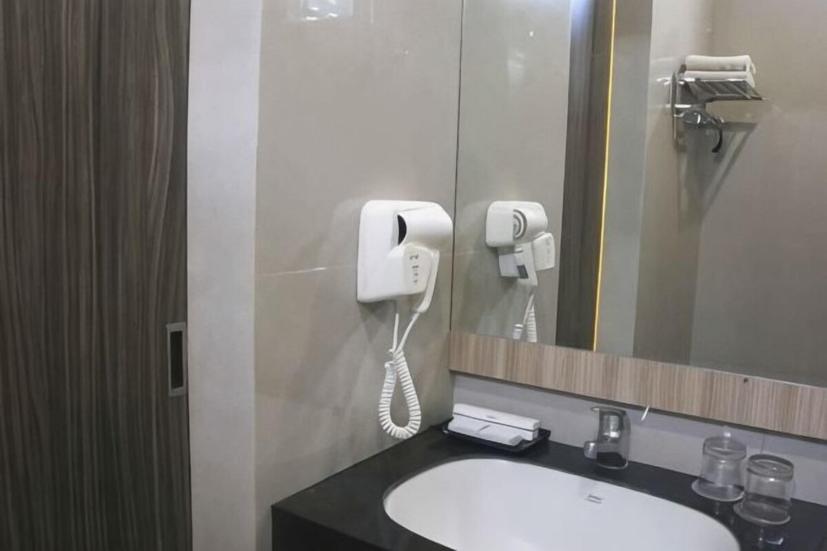 A bathroom with a white sink, a mirror, a towel rack, and a hairdryer.