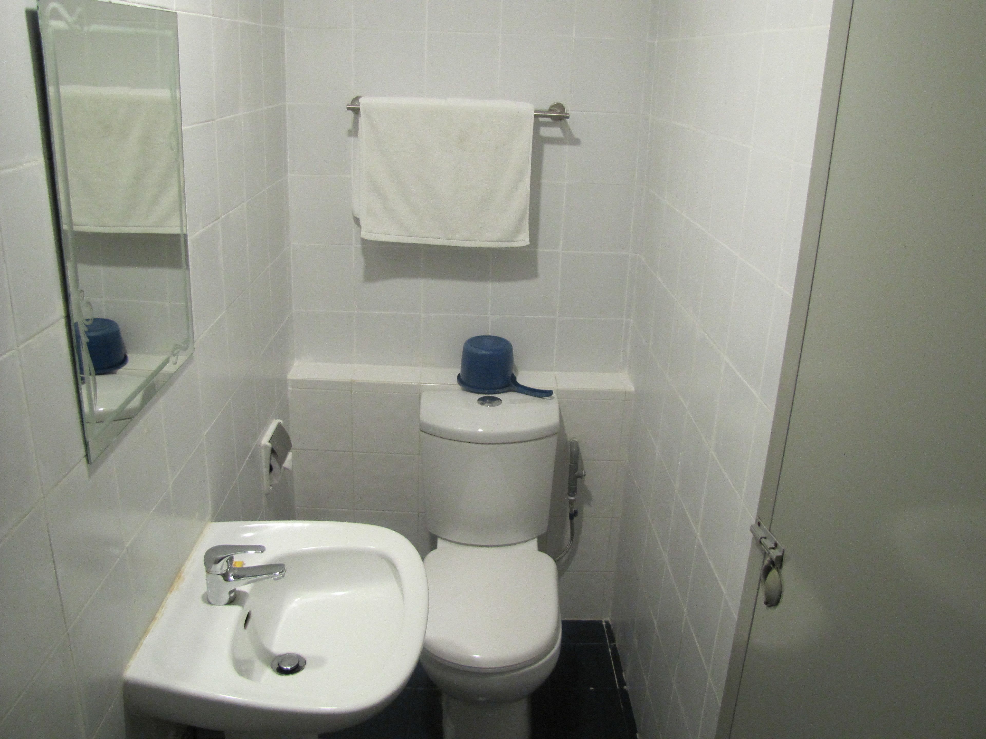 Un baño pequeño con lavamanos blanco, inodoro y un dispensador de papel higiénico azul.