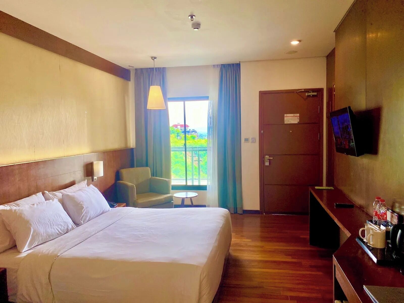Deluxe King Room without Balcony