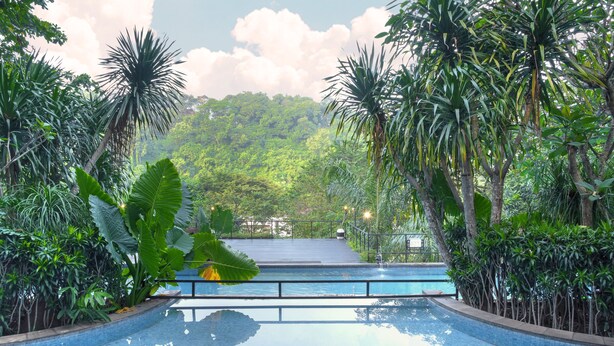 A swimming pool surrounded by lush tropical vegetation and a view of a forested hillside. - Oak Tree Emerald Hotel & Conventions Semarang (Semarang)