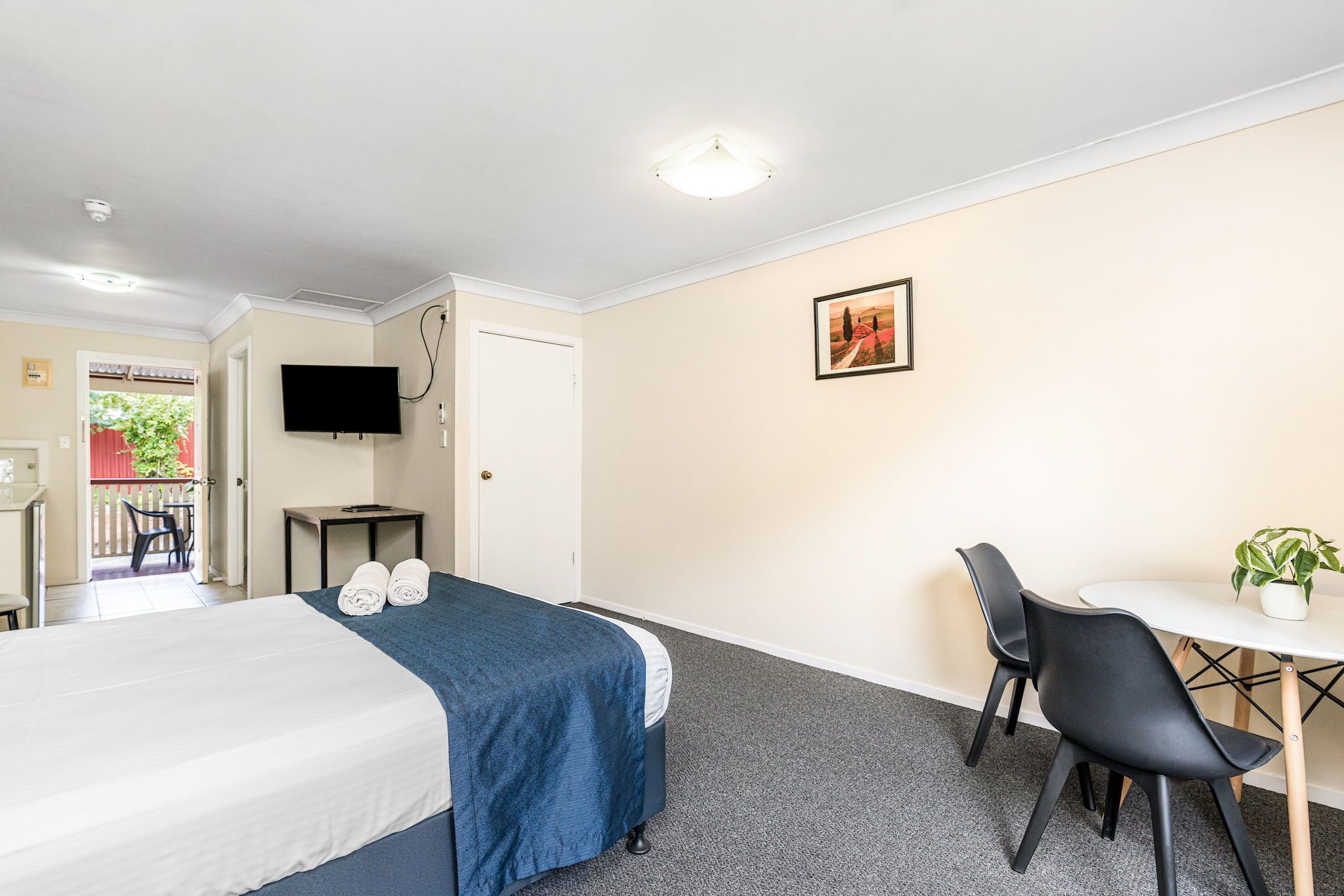 A hotel room with a bed, a desk, a chair, a TV, and a small table with a plant.