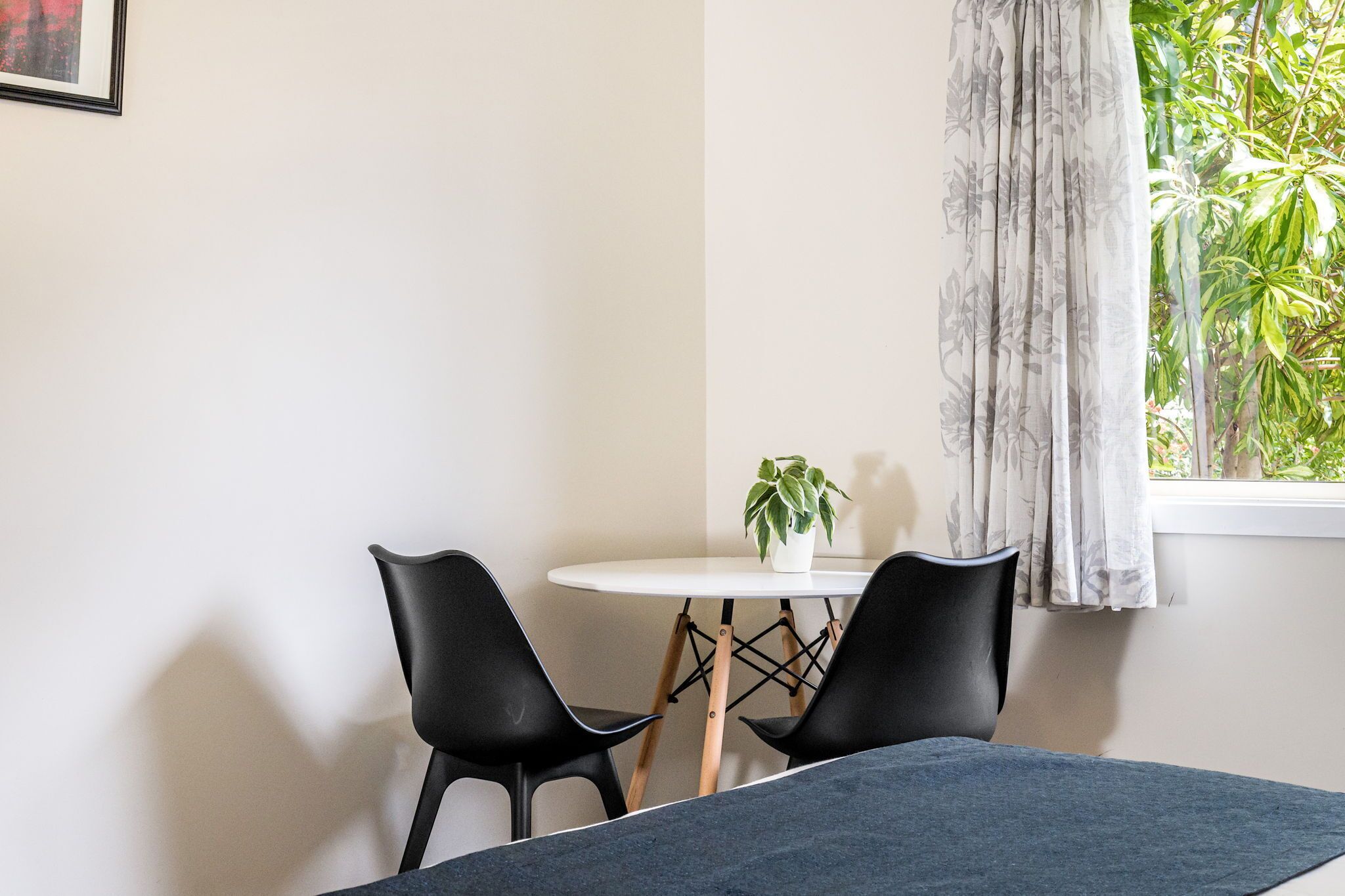 A room with a round table, two black chairs, a potted plant, and a window with curtains.