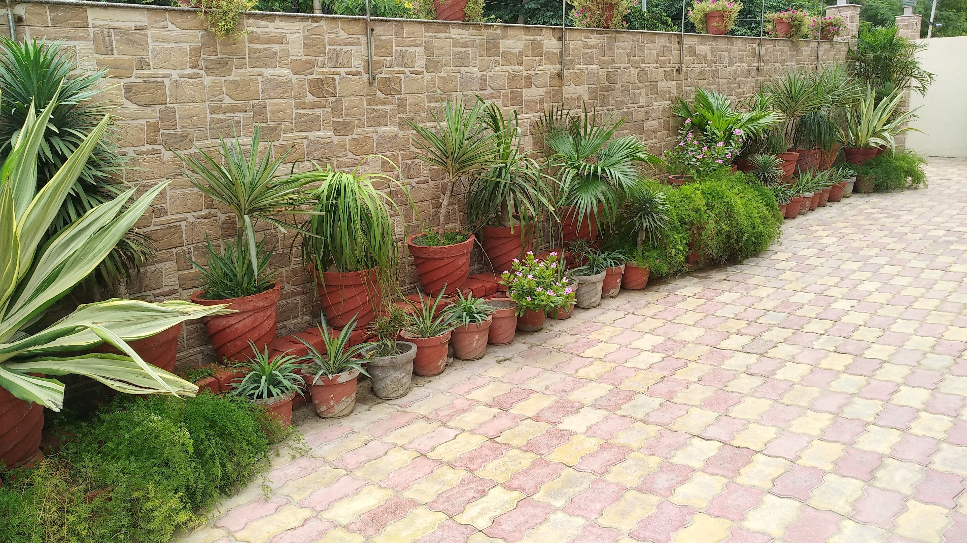 Foto - Hotel Karan Vilas