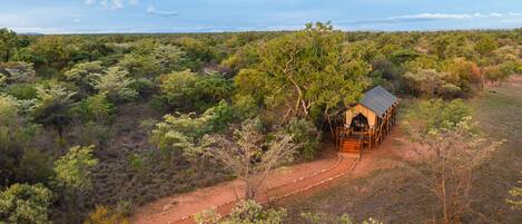 A safari lodge with a dirt path leading to it, surrounded by dense bushland.