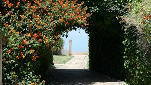 حديقة