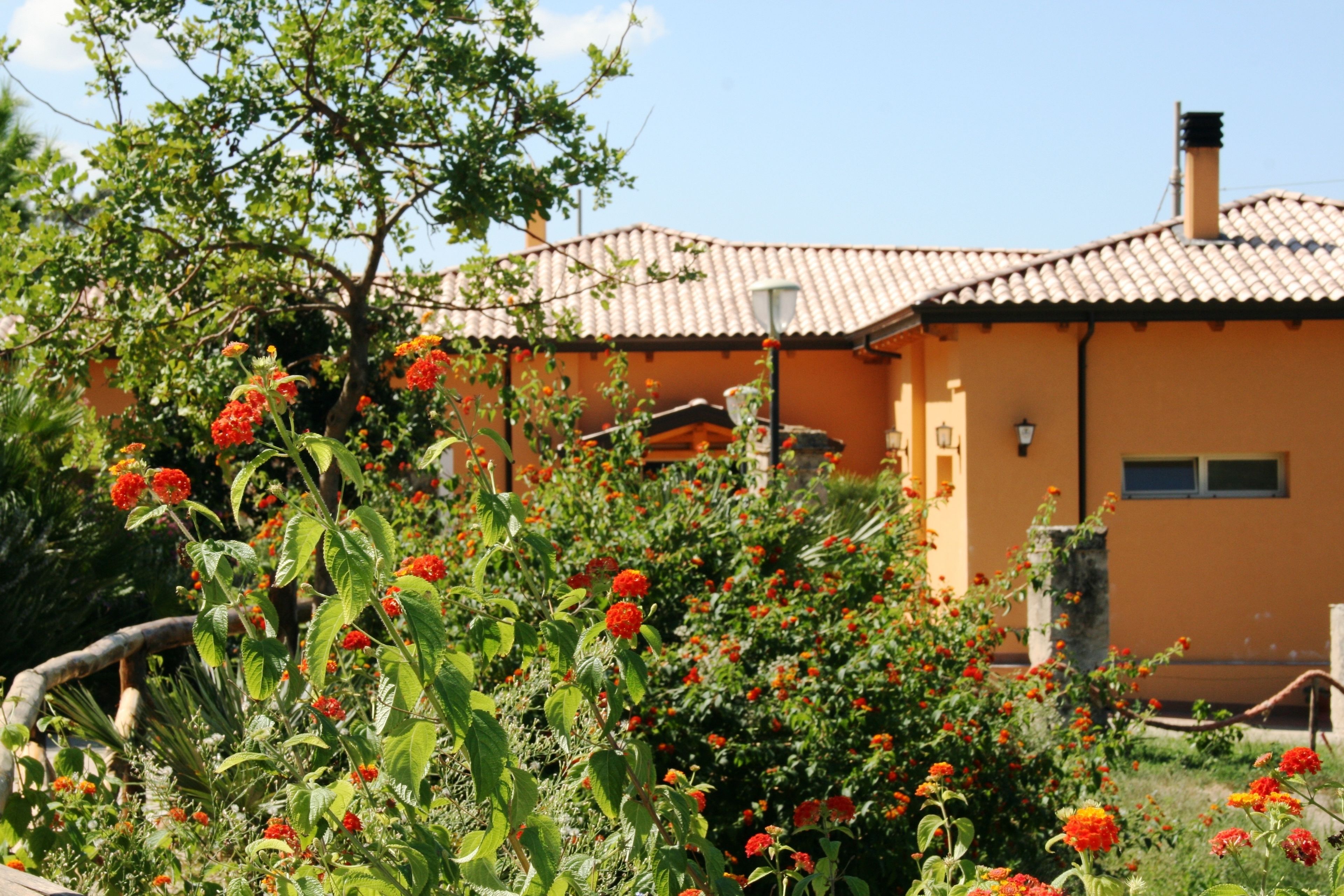 A building with a tiled roof and a garden with red flowers.