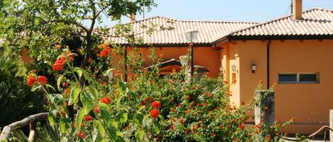A building with a tiled roof and a garden with red flowers.