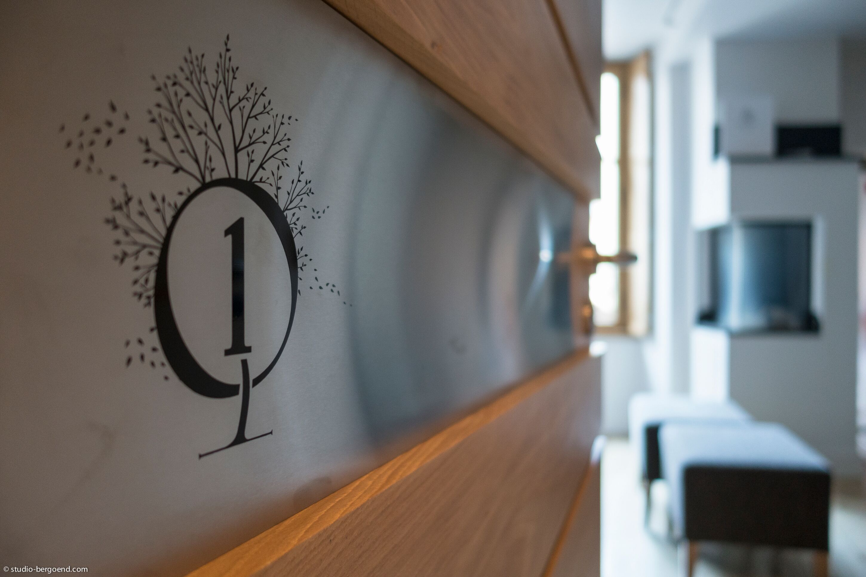 Foto - Les Loges Annecy Vieille Ville